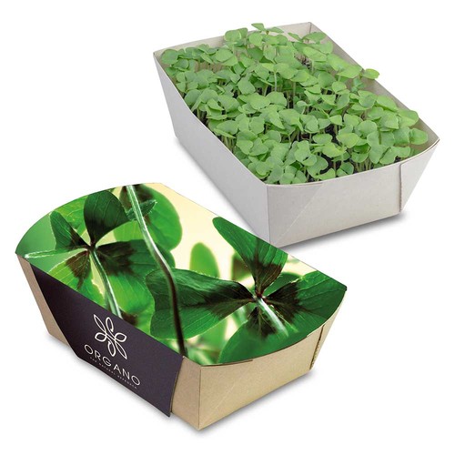 Plant-bowl with seeds - Four-leaf clover