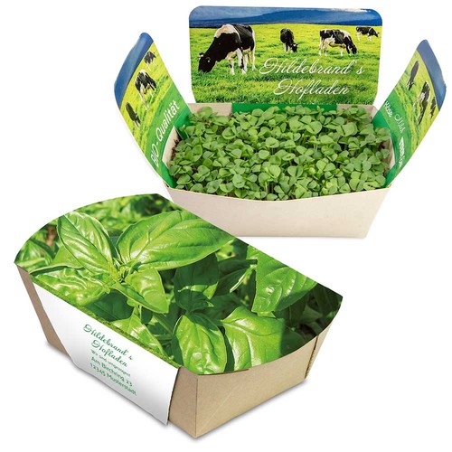 Plantodrom with seeds - Basil