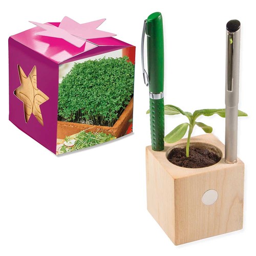 Plant-wood office star-box with seeds - Cress