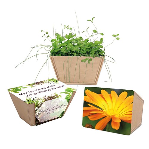 Mini-bed with seeds - Marigold