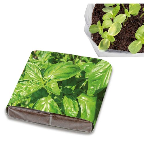 Pop-up potting soil with seeds - Basil