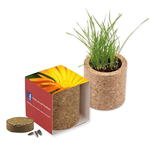 Plant-cork round with seeds - Marigold