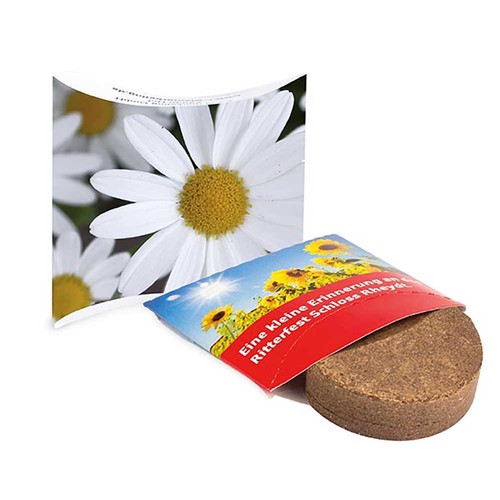 Plant-tab with seeds - Marguerite