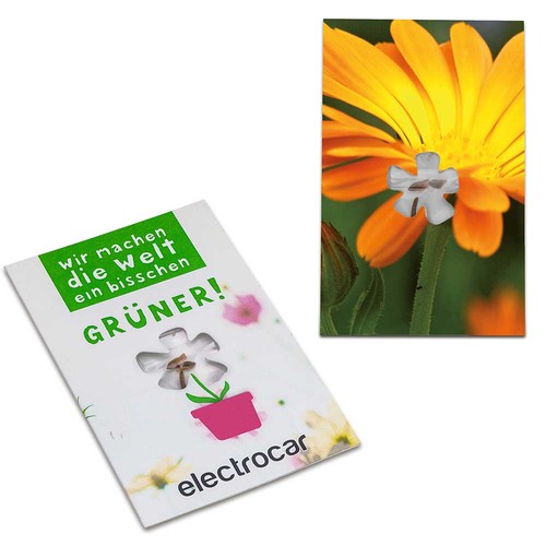 Seed-card-mini flower - Marigold