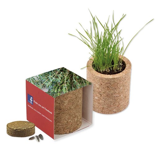 Plant-cork round with seeds - Thyme