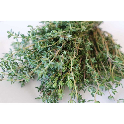 Plant-cork round with seeds - Thyme Plant-cork round with seeds - Thyme