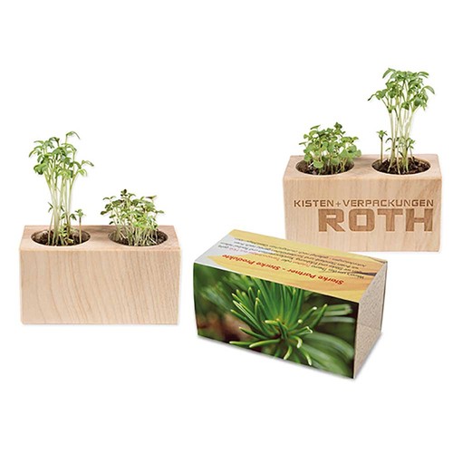 Plant-wood set of 2 with seeds - Spruce