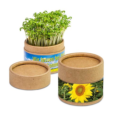 Plant-cup with seeds - Sunflowers