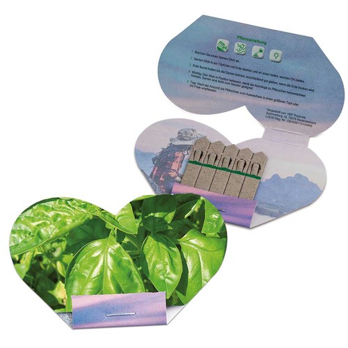 Seed-stick - heart - Basil