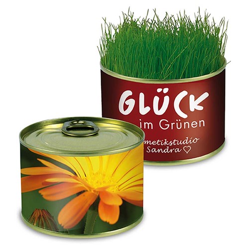 Nature-reserve with seeds - Marigold