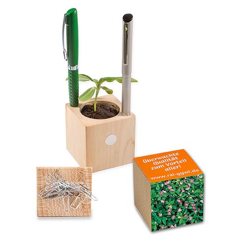 Plant-wood office with seeds - Persian clover (seeds)