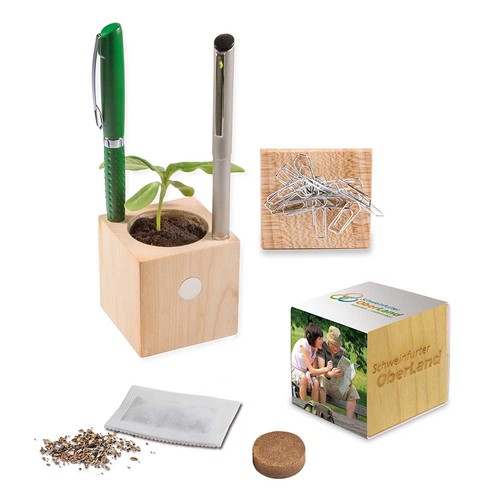 Plant-wood office with seeds - Four-leaf clover Plant-wood office with seeds - Four-leaf clover