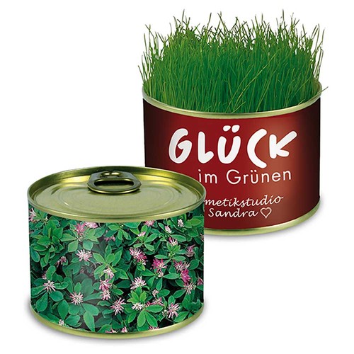 Nature-reserve with seeds - Persian clover (seeds)