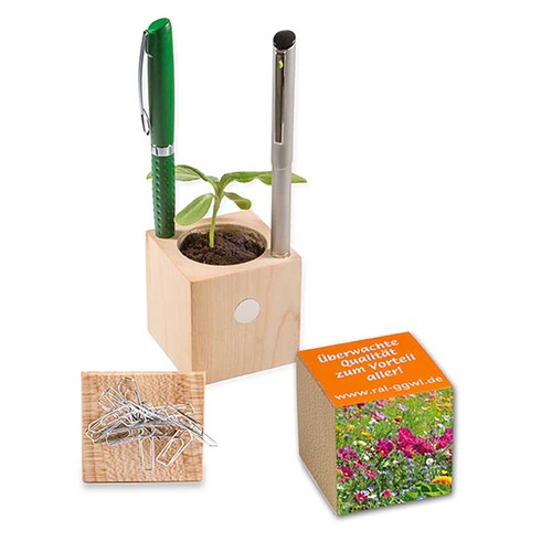 Plant-wood office with seeds - Summerflowers mix