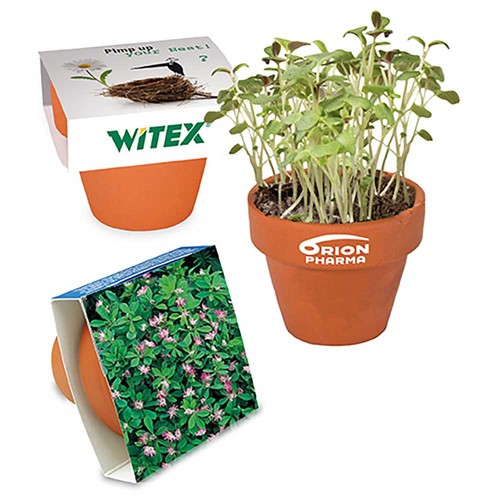 Mini logo-pot paper band with seeds - Persian clover (seeds)