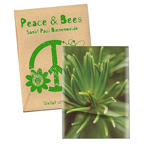 Seed-bag small - Natron kraft paper - Spruce