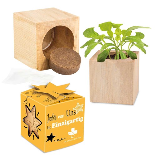 Plant-wood star-box with seeds - Cress Plant-wood star-box with seeds - Cress