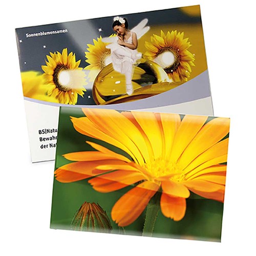 Seed-bag large - Standard paper - Sunflowers Seed-bag large - Standard paper - Sunflowers