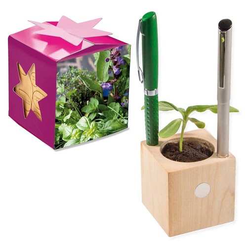 Plant-wood office star-box with seeds - Herb-mixture