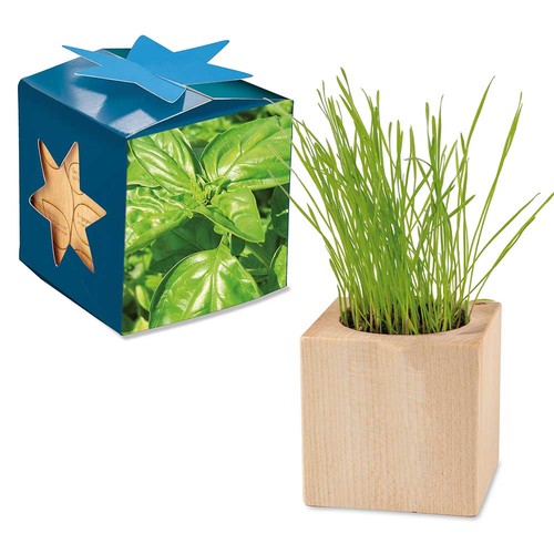Plant-wood maxi star-box with seeds - Basil