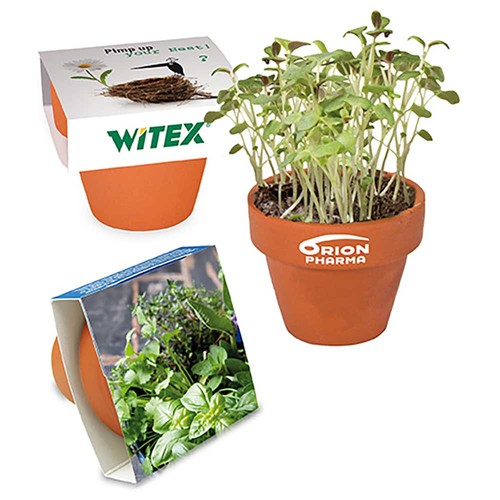 Mini logo-pot paper band with seeds - Herb-mixture