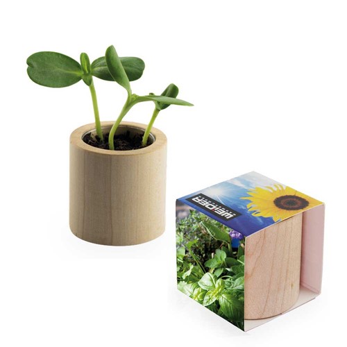 Plant-wood round with seeds - Herb-mixture