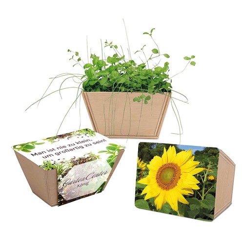Mini-bed with seeds - Sunflowers