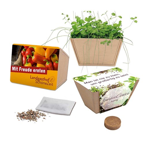 Mini-bed with seeds - Sunflowers Mini-bed with seeds - Sunflowers