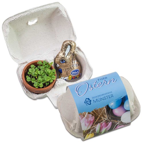 Boxed pleasure - duo - with plant-pot and chocolate-bunny
