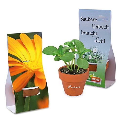 Mini logo-pot handover-packaging with seeds - Marigold