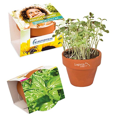Mini logo-pot complete paper band with seeds - Basil