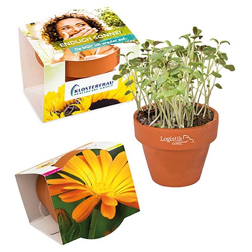 Mini logo-pot complete paper band with seeds - Marigold