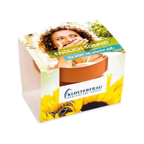 Mini logo-pot complete paper band with seeds - Marigold Mini logo-pot complete paper band with seeds - Marigold