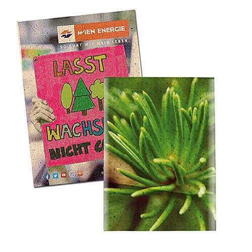 Seed-bag small - Grass paper - Spruce