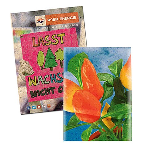 Seed-bag small - Grass paper - Chilli