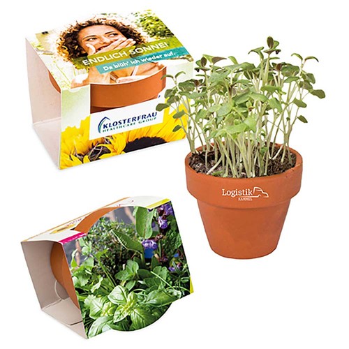 Mini logo-pot complete paper band with seeds - Herb-mixture