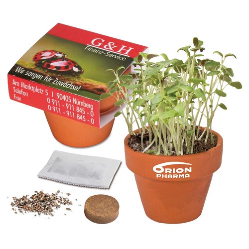 Logo-pot with seeds - teracotta - Forget-me-not Logo-pot with seeds - teracotta - Forget-me-not