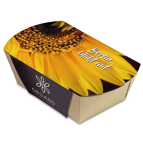 Plant-bowl with seeds - Chilli Plant-bowl with seeds - Chilli