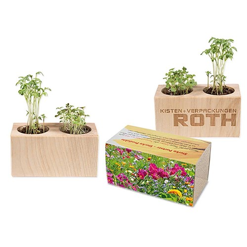 Plant-wood set of 2 with seeds - Summerflowers mix