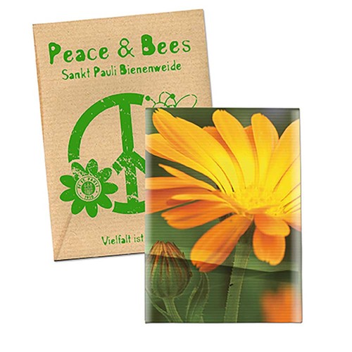 Seed-bag small - Natron kraft paper - Marigold