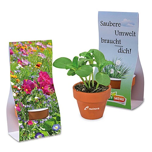 Mini logo-pot handover-packaging with seeds - Summerflowers mix