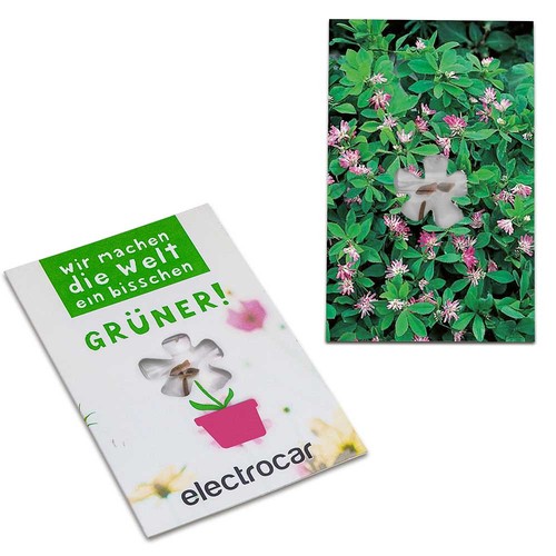 Seed-card-mini flower - Persian clover (seeds)
