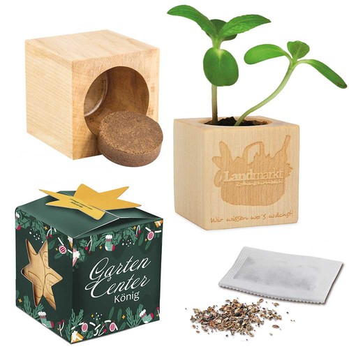 Plant-wood maxi star-box with seeds - Herb-mixture Plant-wood maxi star-box with seeds - Herb-mixture