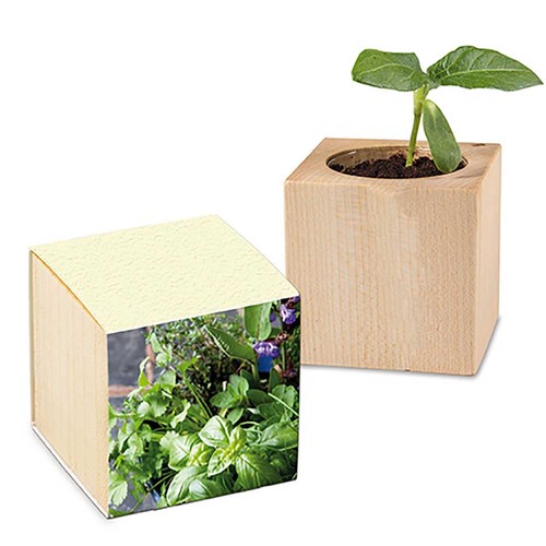 Plant-wood with seeds (paper band from grass paper) - Herb-mixture
