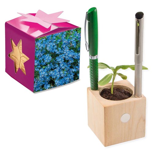 Plant-wood office star-box with seeds - Forget-me-not