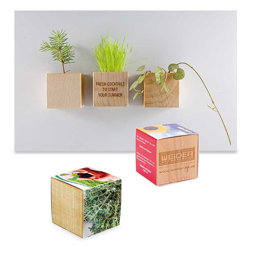 Plant-wood magnet with seeds - Thyme