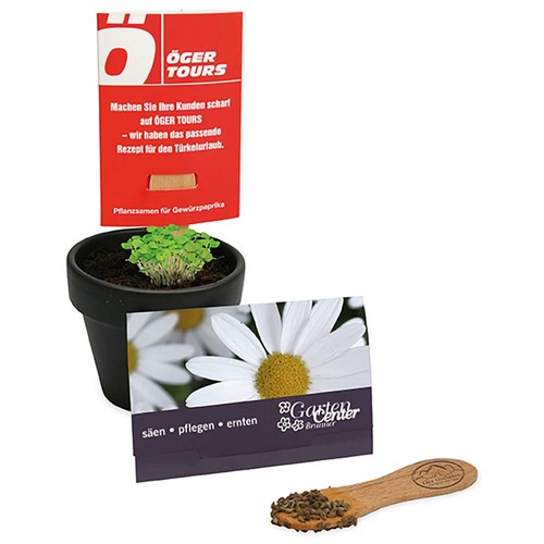 Plant-stick with seeds - Marguerite