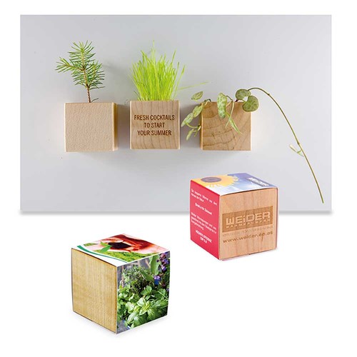 Plant-wood magnet with seeds - Herb-mixture