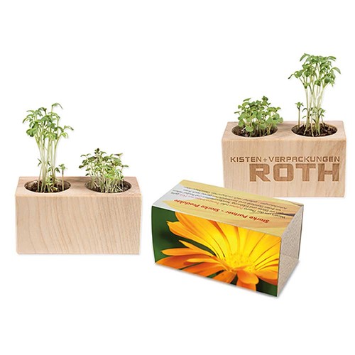 Plant-wood set of 2 with seeds - Marigold