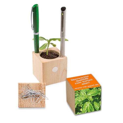 Plant-wood office with seeds - Basil